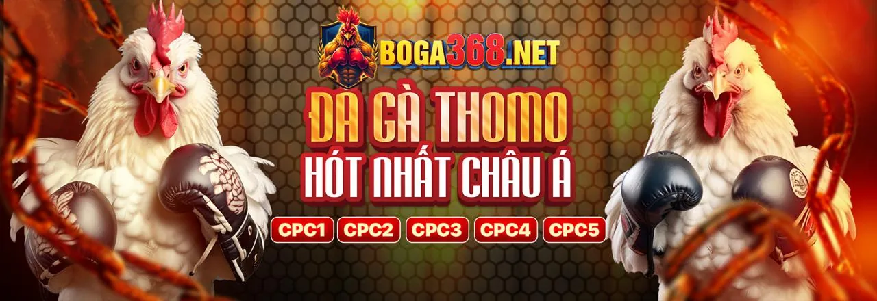 Các kênh liên hệ hỗ trợ 8kbey win