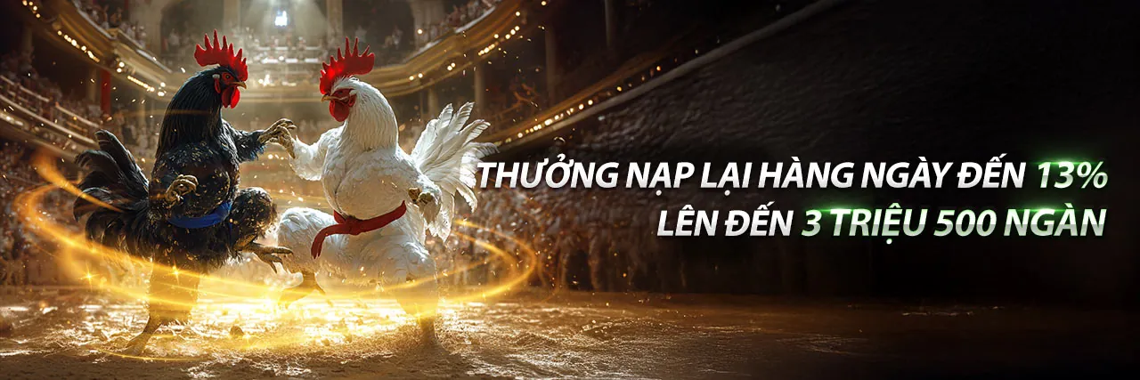 Sới gà đá trực tuyến 8kbey win với những trận đấu kịch tính